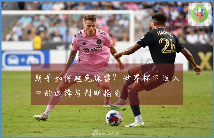 新手如何避免踩雷？世界杯下注入口的选择与判断指南