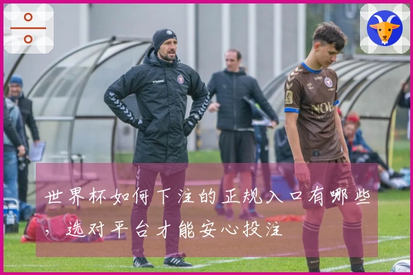 世界杯如何下注的正规入口有哪些，选对平台才能安心投注