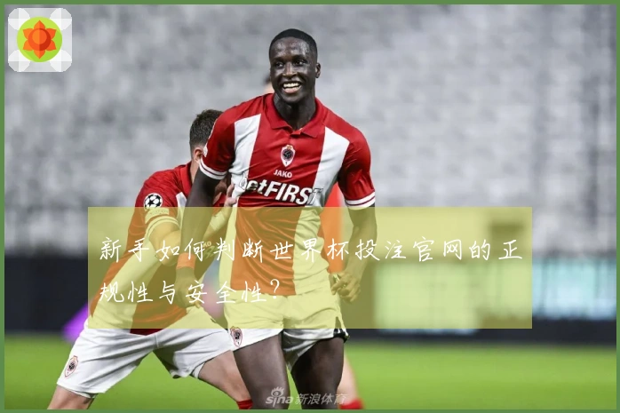新手如何判断世界杯投注官网的正规性与安全性？