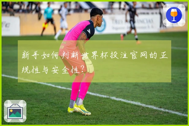 新手如何判断世界杯投注官网的正规性与安全性？