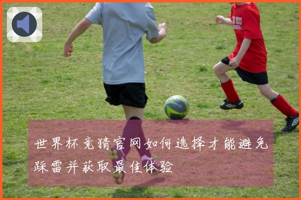 世界杯竞猜官网如何选择才能避免踩雷并获取最佳体验