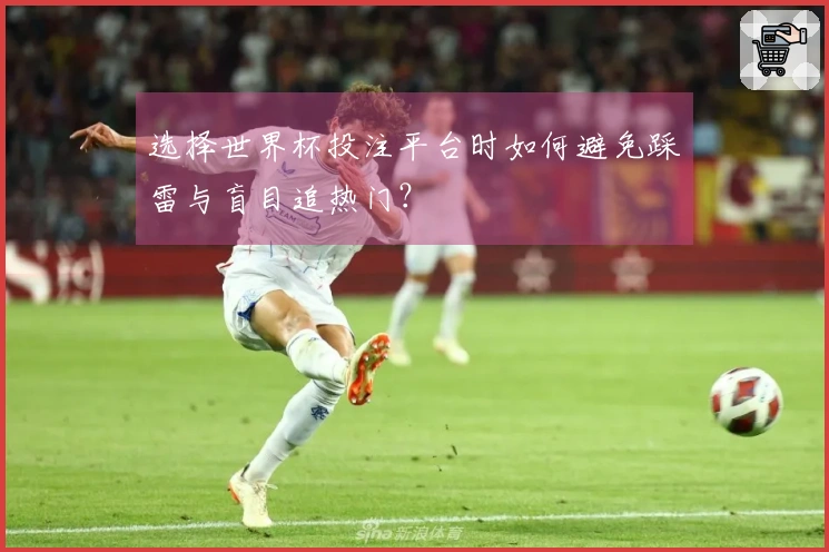 选择世界杯投注平台时如何避免踩雷与盲目追热门？