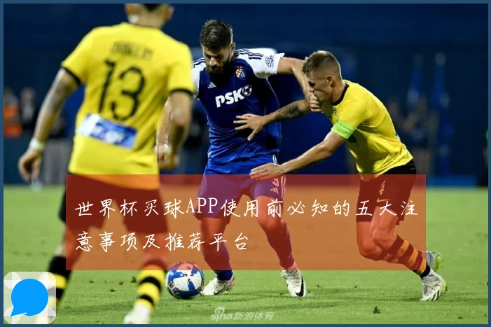 世界杯买球APP使用前必知的五大注意事项及推荐平台