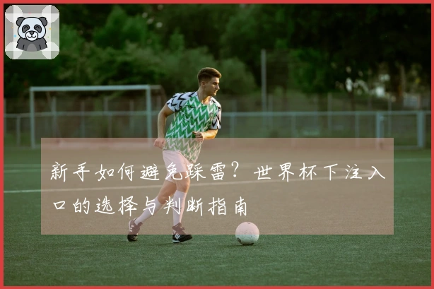 新手如何避免踩雷？世界杯下注入口的选择与判断指南